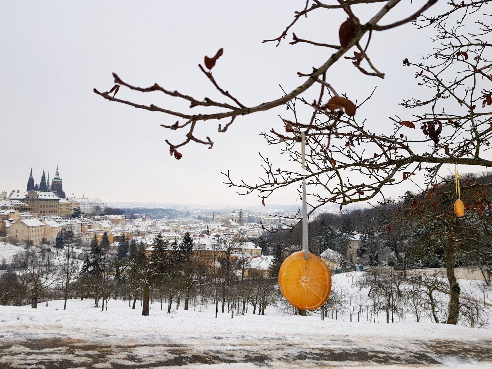 WALK #2: Winter walk from Petřín tower with start in The New World