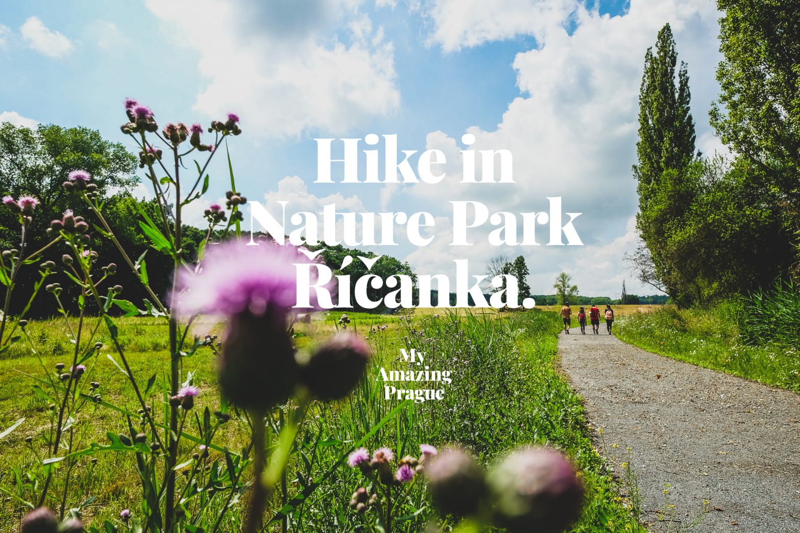 HIKE #10: Relaxing hike passing fields, fishponds, and forests in nature park Říčanka